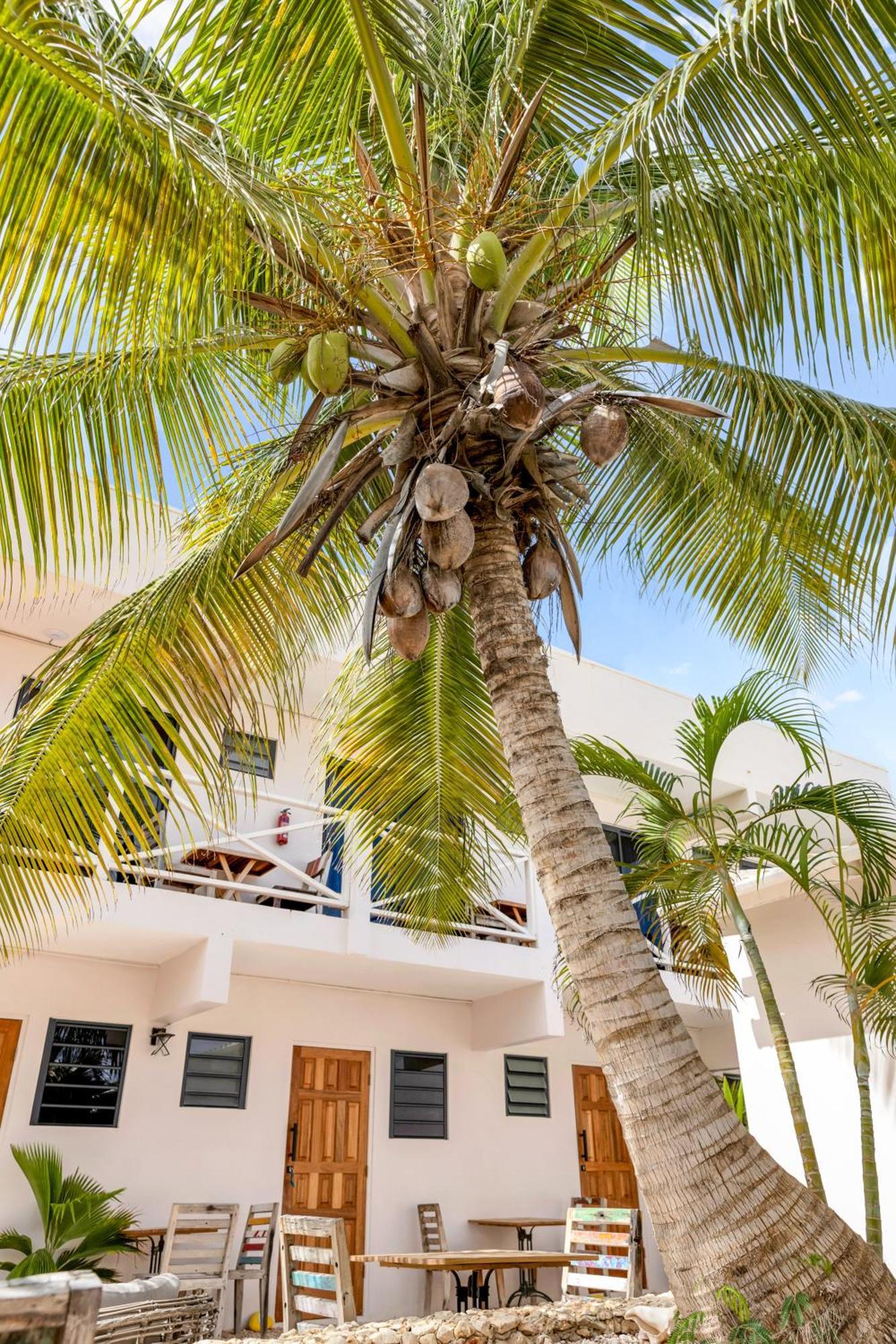 The Hut Bonaire Hotel Kralendijk  Ngoại thất bức ảnh